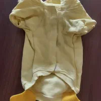 لباس|لوازم جانبی حیوانات|تهران, طرشت|دیوار