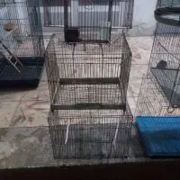 قفس پرنده|لوازم جانبی حیوانات|اصفهان, قهاب جنوبی|دیوار