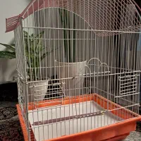 قفس پرنده|لوازم جانبی حیوانات|قدس, شهر‌قدس|دیوار