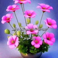 آژانس تلفنی شبانه روزی احمدرضا