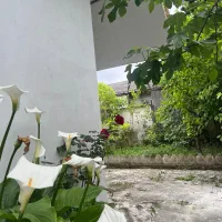 خانه-ویلایی-3-خوابه-سند-دار-داخل-شهر