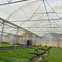 ساخت انواع سازه گلخانه(صفرتاصد،نقد و اقساط)|عمدهفروشی|شهرکرد, |دیوار