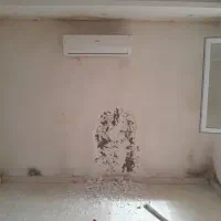 نقاشی ساختمان وگچ وکناف کنیتکس وخورده کاری|خدمات پیشه و مهارت|رشت, بلوار گیلان|دیوار