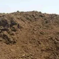 کودگاو،گوسفند،بوقلمون وکفتر