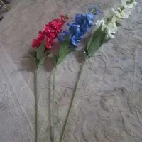 سه شاخه گل نو