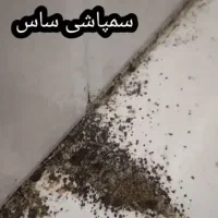 سمپاشی تضمینی ساس سوسک کنه۱۰۰٪(رسالت پنچتن گلشهر )|خدمات نظافت|مشهد, طلاب|دیوار