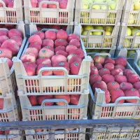 سرمایه‌گذاری با ۲۵درصد سود ظرف ۳ ماه|خدمات مالی، حسابداری، بیمه|مشهد, کوثر|دیوار