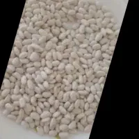 فروش لوبیا سفید درجا یک فقط ۲۵۰ هزار تومان