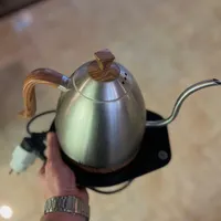 کتل برقی برویستا BRWEISTA