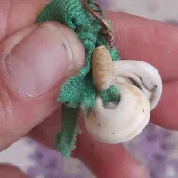 عطف بحری فوق کهنه