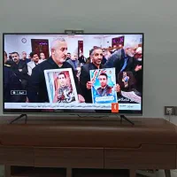 تلویزیون50|تلویزیون و پروژکتور|هشتگرد, شهرک ولیعصر (مصلی)|دیوار