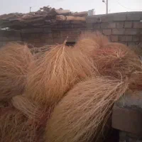 جارو محلی ونرم