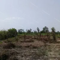 زمین-باغ-هزار-متری-دارای-مجوز-رسمی