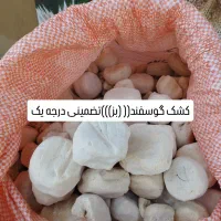 خرید فروش انواع حبوبات انواع بذر گندم درجه یک|عمده‌فروشی|الیگودرز, |دیوار