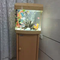 اکواریوم شرکتی یامی