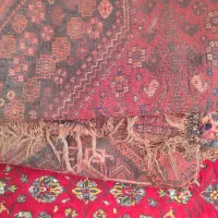 قالی دستباف قدیمی|فرش|مرودشت, محمد آباد|دیوار