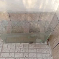 آکواریوم سالم|ماهی|تربت‌حیدریه, سرمحله|دیوار