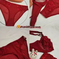 ست هارنس دار