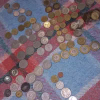 سکه تمامی دوره ها