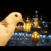 تورپنج‌روزه‌مشهدمقدس‌‌