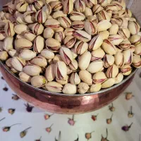 فروش انواع پسته درجه 1