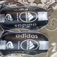 ساق پا