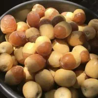 خریدباربرحی