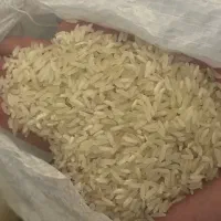 عمده برنج فجر شیرازی ۱۴۰