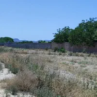 هزار-متر-زمین-با-سند-تک-برگ