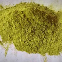 (سدر)بهترین درمان برای بیماری های پوستی