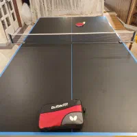 آموزش پینگ پنگ