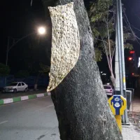 فروشنده خانوم