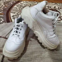۱جفت کفش لژدارسایز۴۳