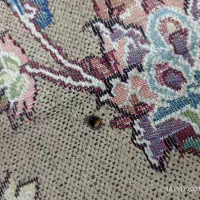 روفرشی 6متری|روفرشی|اصفهان, کوجان|دیوار