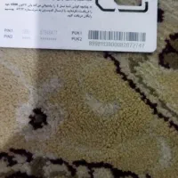 ۰۹۱۵۹۶۸۱۳۹۲