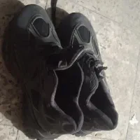 سه عدد کفش همش باهم هشتصد|کیف، کفش، کمربند|شیراز, پانصد دستگاه ارتش|دیوار