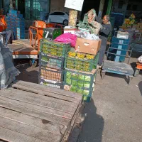 به یک نفره کارگر ساده در تره بار مرکزی نیازمندیم