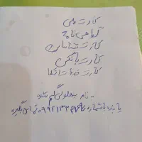 جاکارتی با مدارک داخلش گم شده