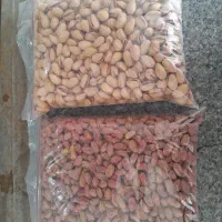 پسته و مغز پسته