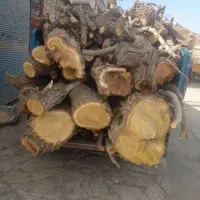 خرید انواع چوب  در خانه و باغ بصورت نقد|خدمات باغبانی و درختکاری|نورآباد ممسنی, |دیوار