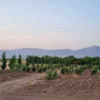 باغ ۲۰۰۰متری کنار اتوبان