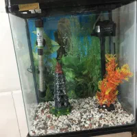 آکواریوم درحد نو