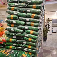 تخمه بساطی و خارجی|خوردنی و آشامیدنی|تهران, امام حسین|دیوار