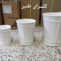 گل دیفن باخیا بهترین هدیه روز مادر|گل و گیاه طبیعی|مشهد, تلگرد|دیوار
