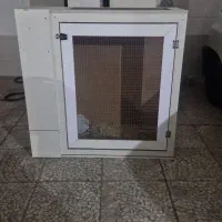 قفس پرنده عروس هلندی