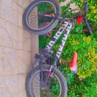 دوچرخه تایر تانکی کلاسبکred fox