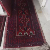 قالی فرش دستباف|فرش|گلبهار, شهر جدید گلبهار|دیوار