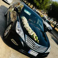 گل کاری،تزئین،ماشین عروس،دیزاین،گل ارایی|خدمات پذیرایی، مراسم|اهواز, زیتون کارگری|دیوار