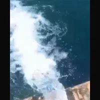 اجاره ۲۰ تا ۷۰ هکتارزمین کشاورزی|اجارهٔ دفتر صنعتی، کشاورزی، تجاری|بشاریات, |دیوار