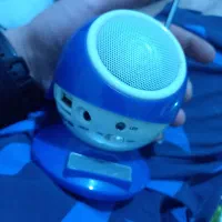 اسپیکر همه کاره